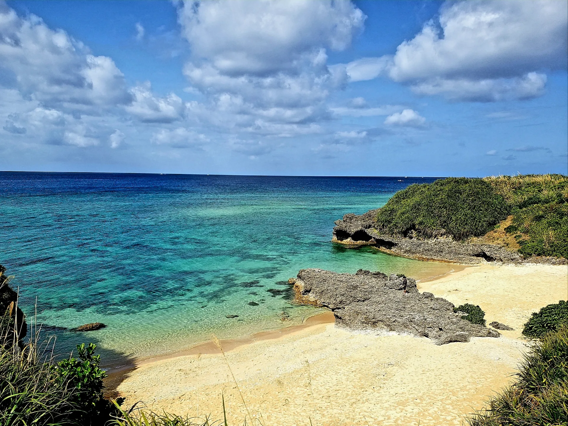 特定商取引法に基づく表記