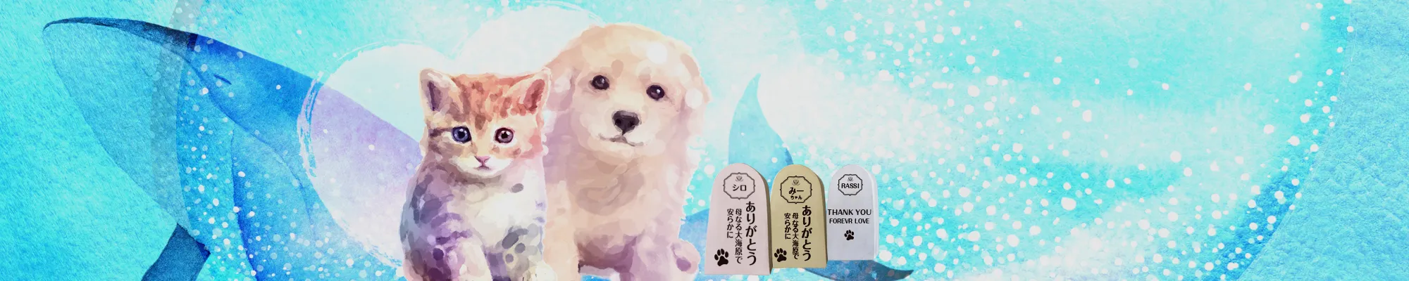 エルカペットについて